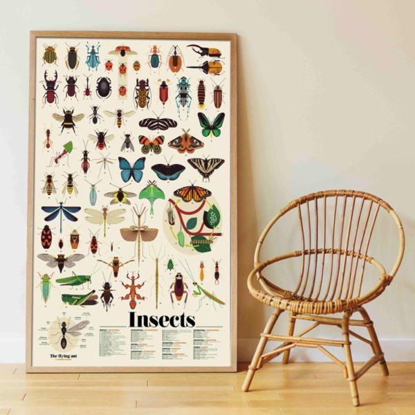 Poppik - Discovery Sticker Poster - Insects - Timeless Toys