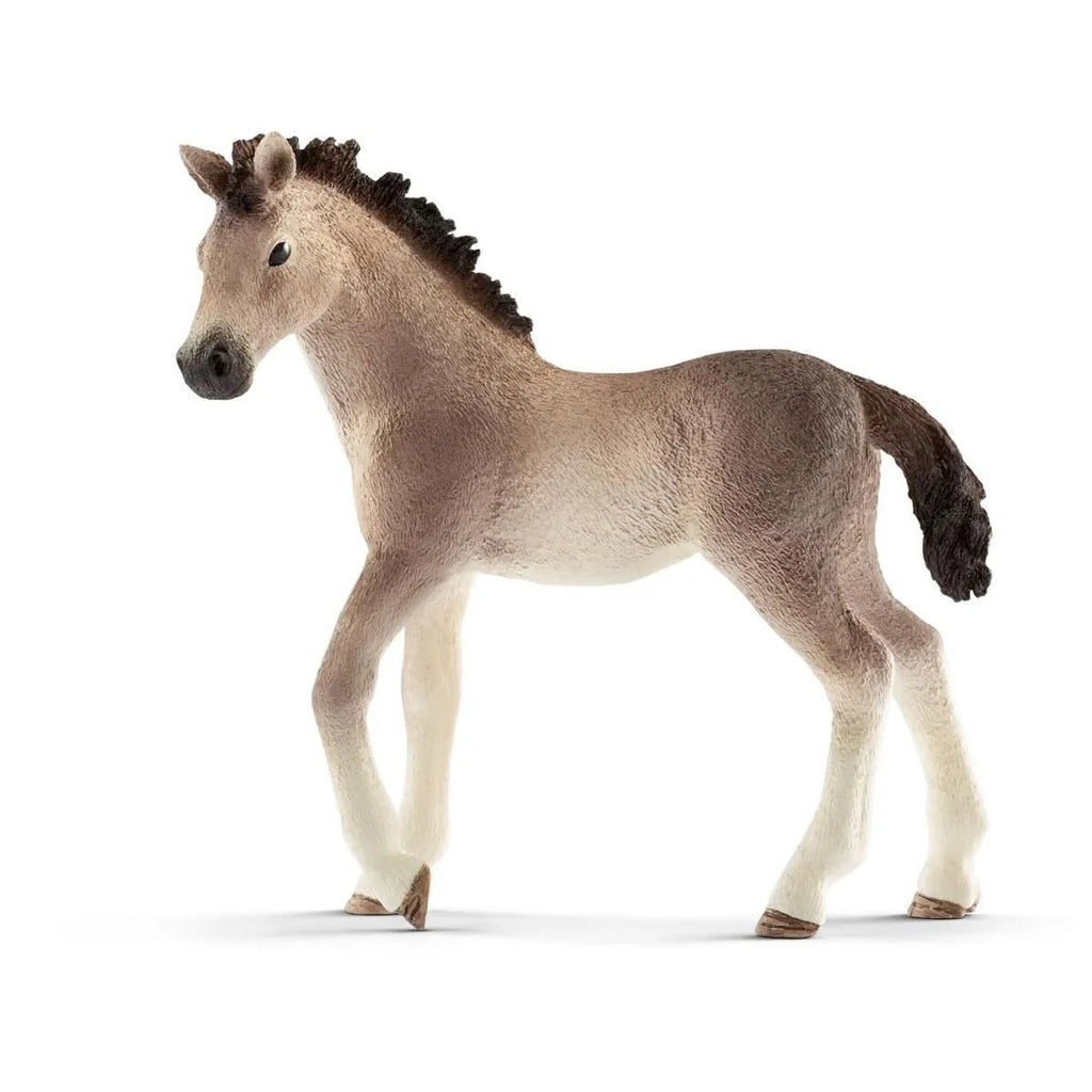 Schleich Horse Club - Andalusian Foal - Timeless Toys