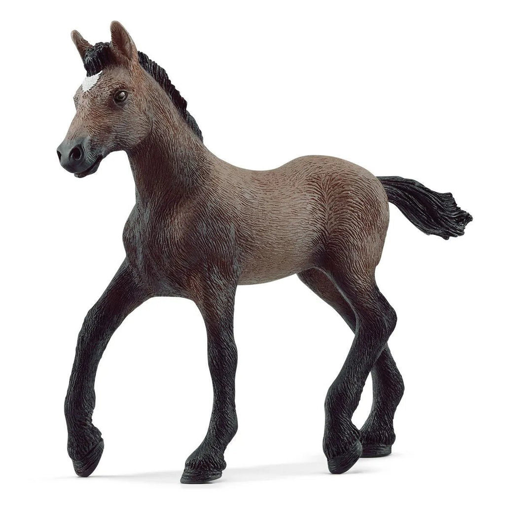 Schleich Horse Club - Peruvian Paso Foal - Timeless Toys