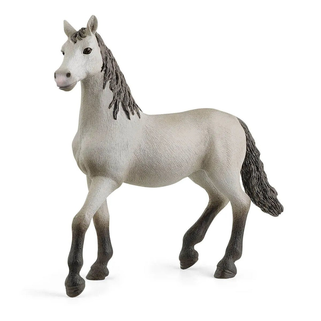 Schleich Horse Club - Pura Raza Espanola Young Horse - Timeless Toys
