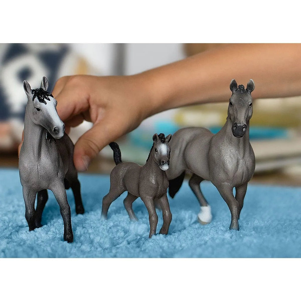 Schleich Horse Club - Selle Francais Foal - Timeless Toys