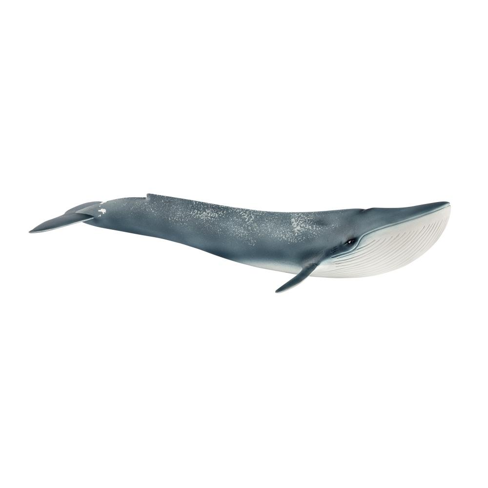 Schleich Wildlife - Blue Whale - Timeless Toys