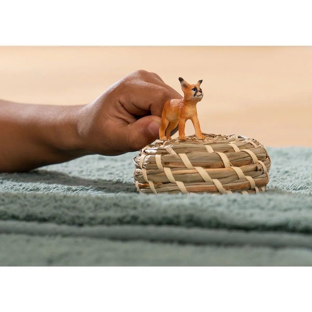 Schleich Wildlife - Caracal Baby - Timeless Toys