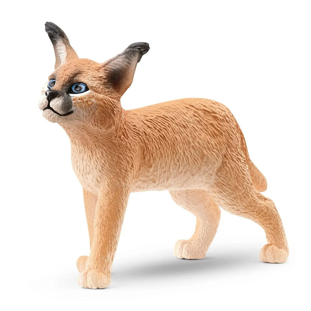 Schleich Wildlife - Caracal Baby - Timeless Toys
