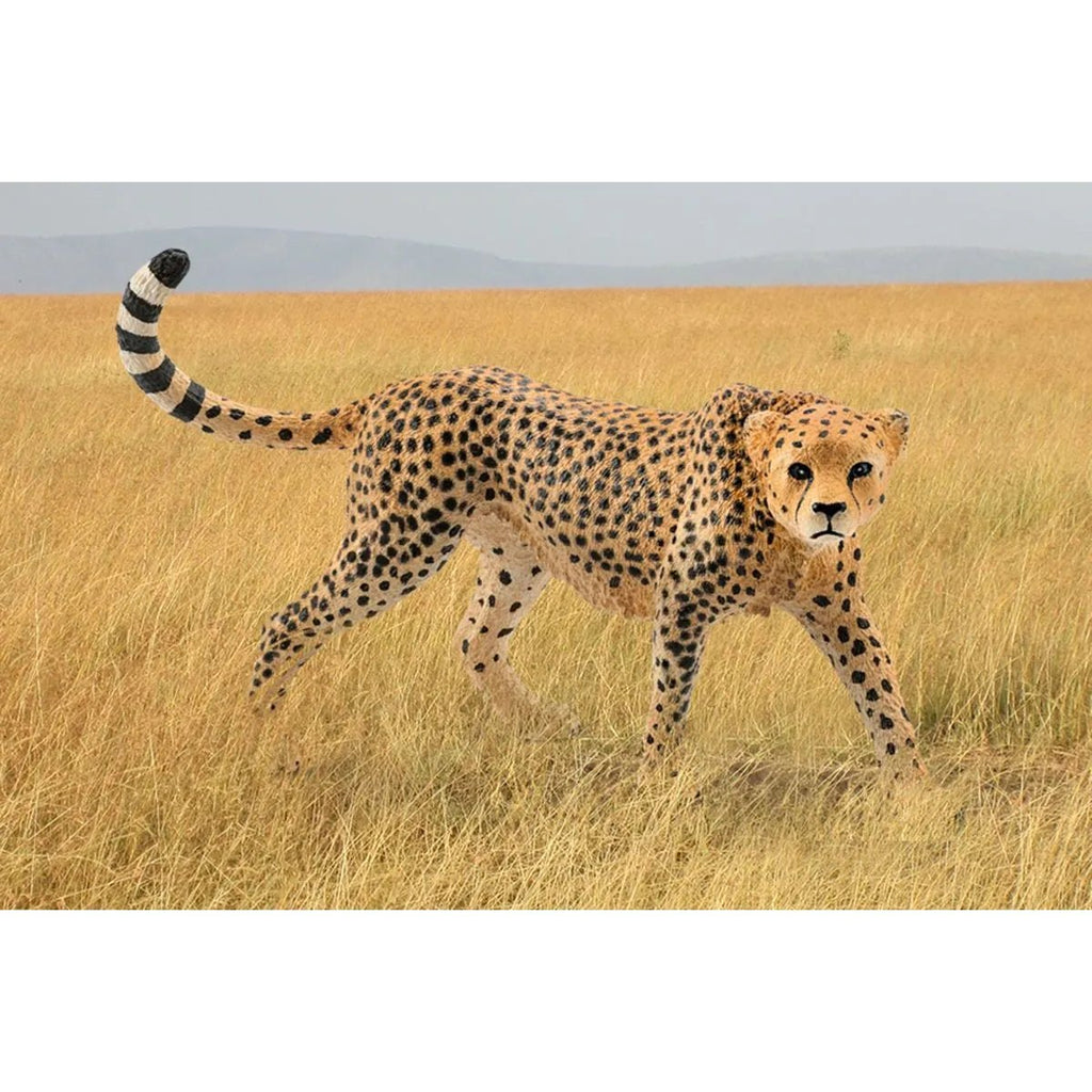Schleich Wildlife - Cheetah, female - Timeless Toys
