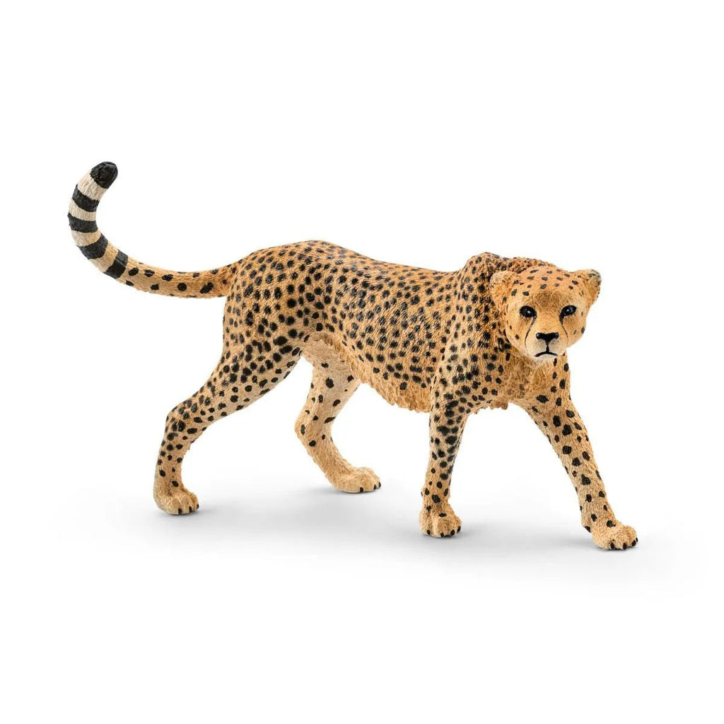 Schleich Wildlife - Cheetah, female - Timeless Toys