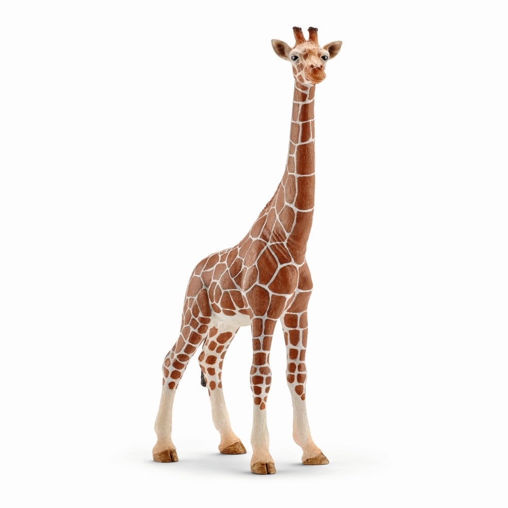 Schleich Wildlife - Female Giraffe - Timeless Toys