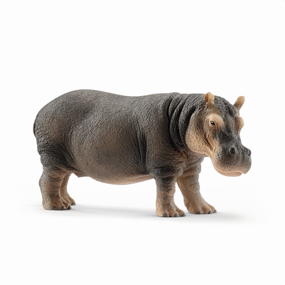 Schleich Wildlife - Hippopotamus - Timeless Toys