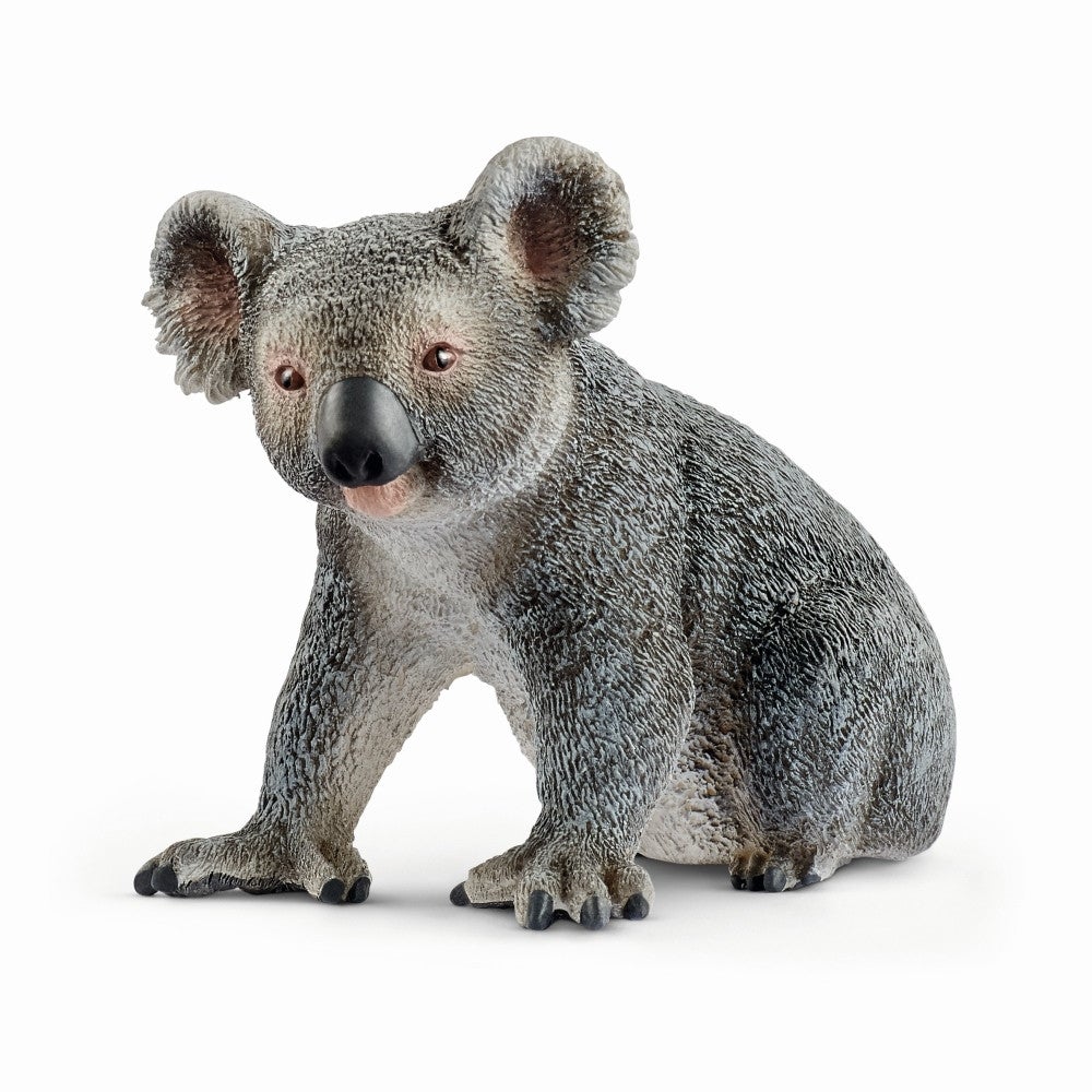 Schleich Wildlife - Koala Bear - Timeless Toys