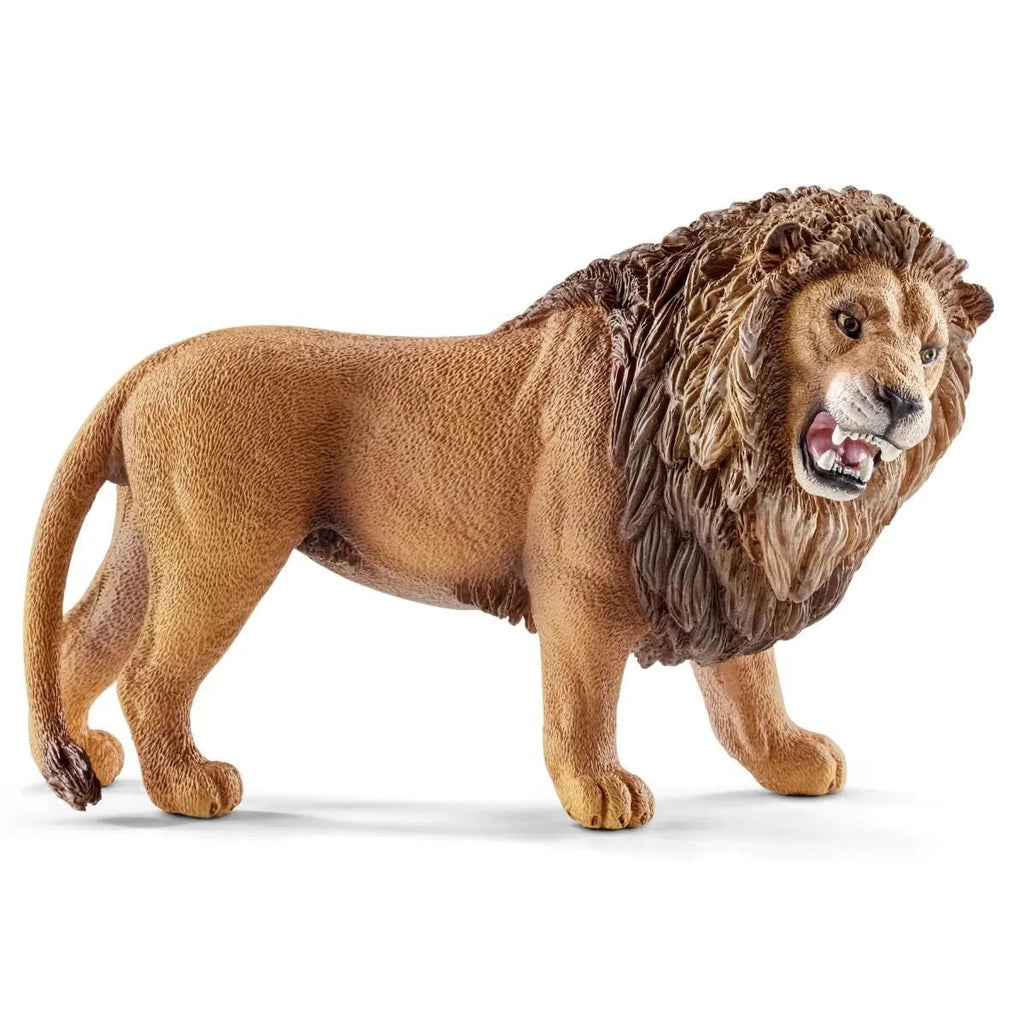 Schleich Wildlife - Lion Roaring - Timeless Toys
