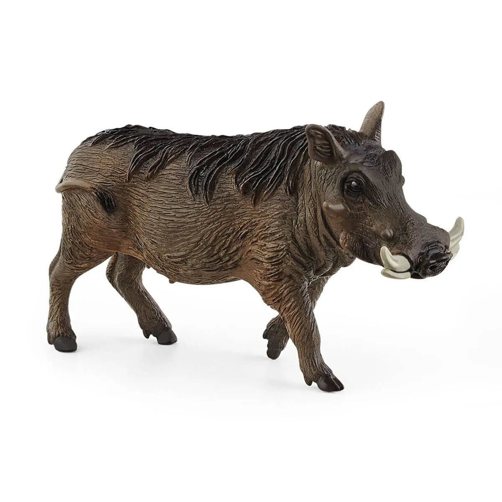 Schleich Wildlife - Warthog - Timeless Toys