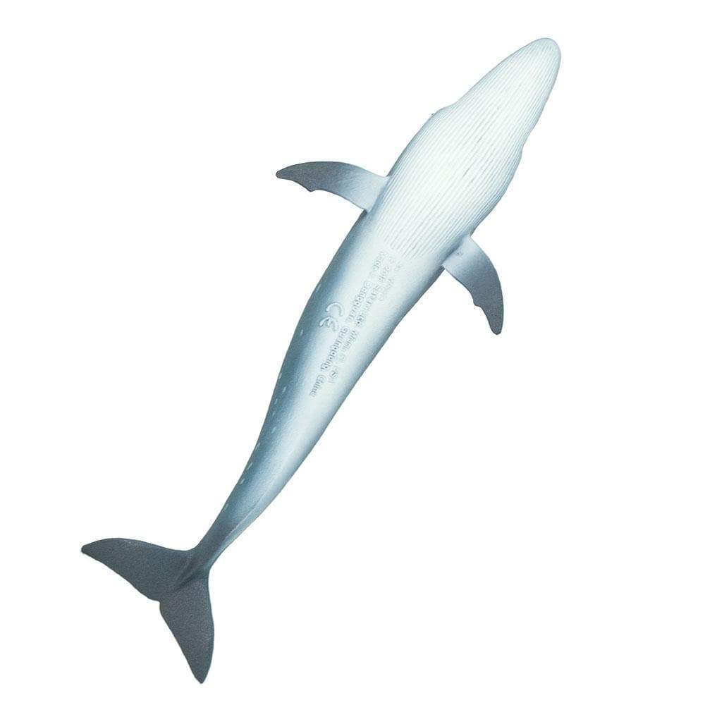 Sei Whale by Safari Ltd - Timeless Toys