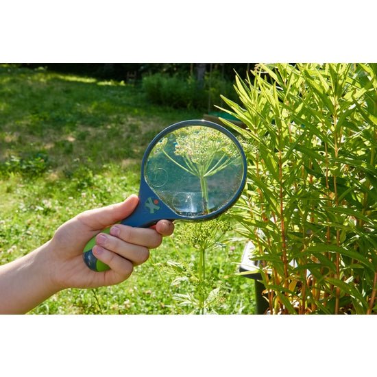 Terra Kids Magnifying Glass by Haba - Timeless Toys