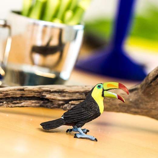 Toucan by Safari Ltd - Timeless Toys