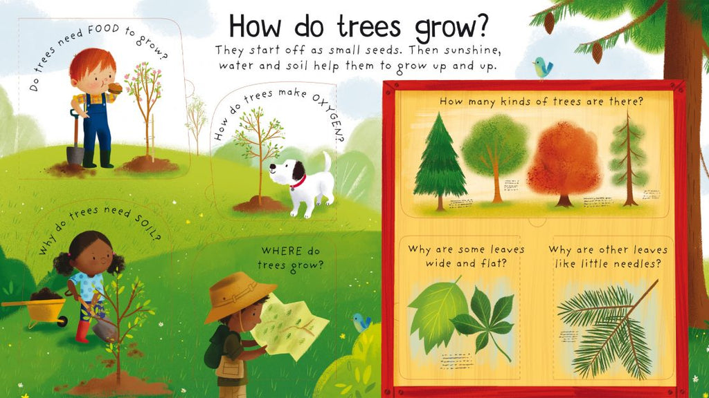 Usborne First Questions and Answers: Why Do We Need Trees? - Timeless Toys