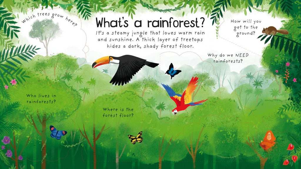 Usborne First Questions and Answers: Why Do We Need Trees? - Timeless Toys
