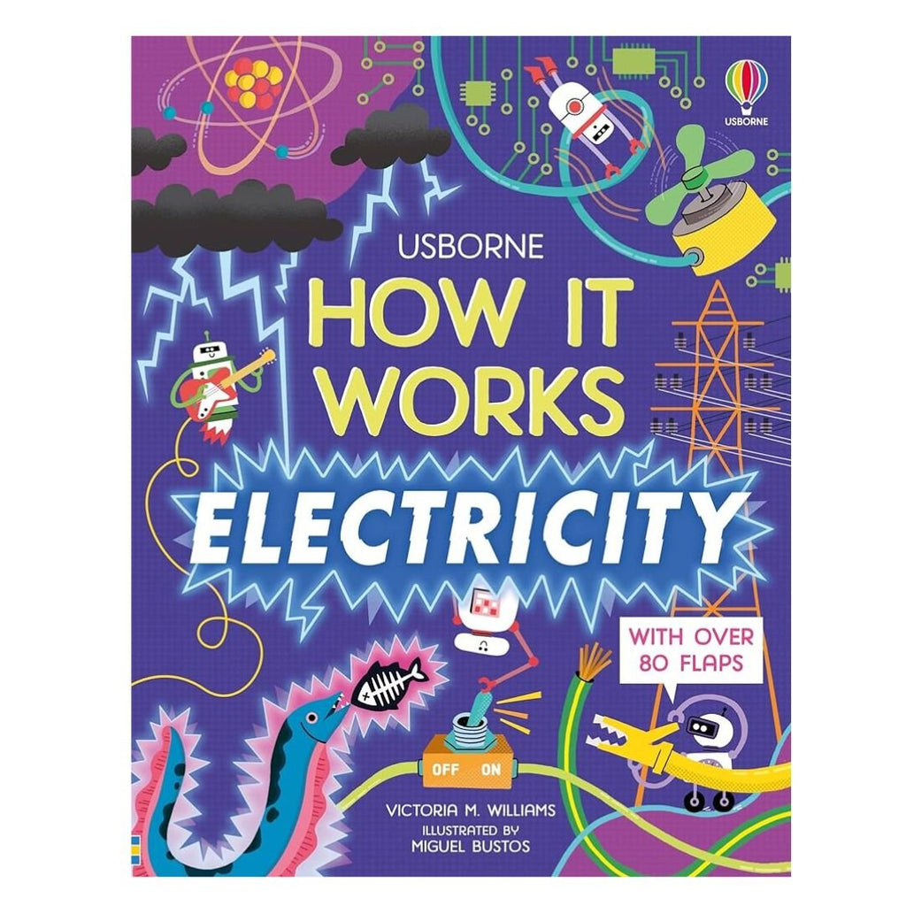Usborne Lift the Flap book - How it Works: Electricity - 7yrs+ - Timeless Toys