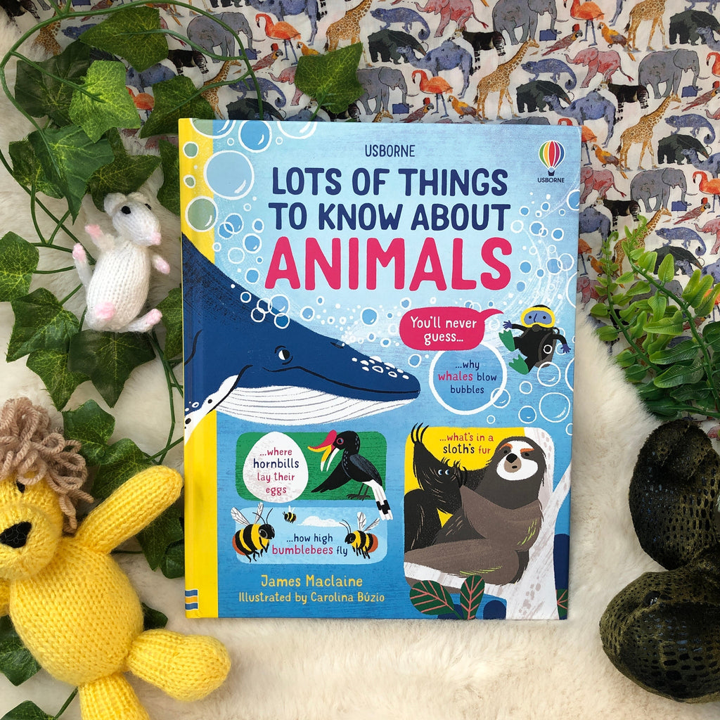Usborne Lots of Things to Know About Animals Book - Timeless Toys