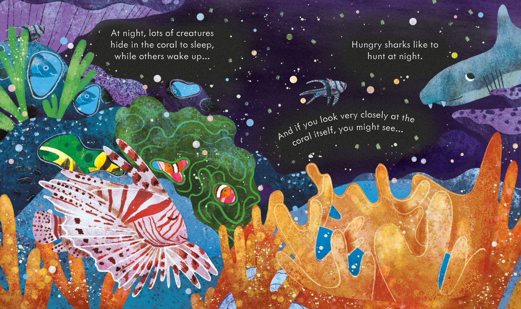 Usborne: Peep inside a Coral Reef - Timeless Toys