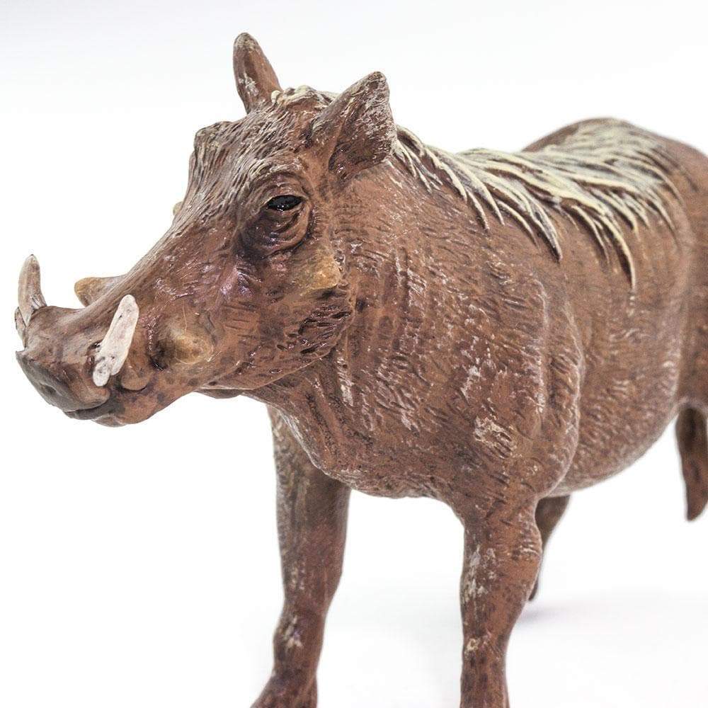 Warthog by Safari Ltd - Timeless Toys