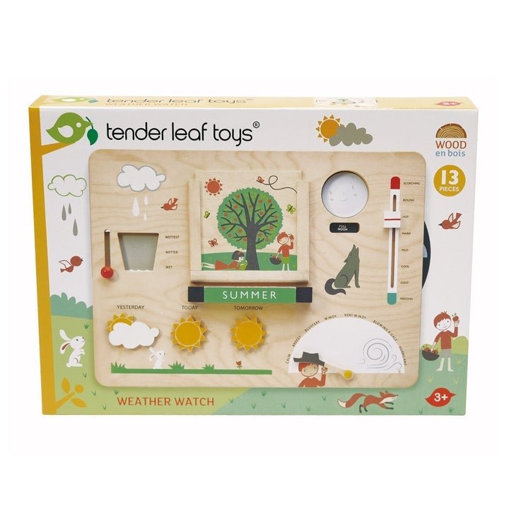 Weather Watch by Tender Leaf Toys - Timeless Toys