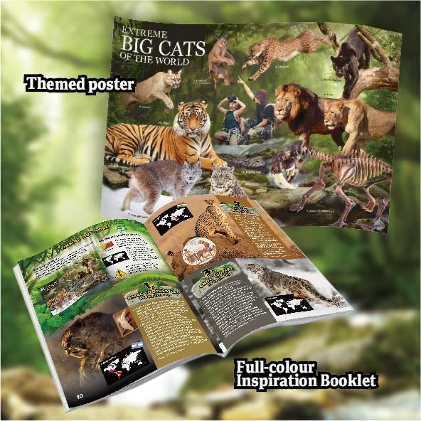 Wild Environmental Science - Extreme Big Cats of the World Science Kit - Timeless Toys